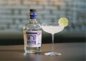 Our rums - Premium spirits | Diplomático Rum